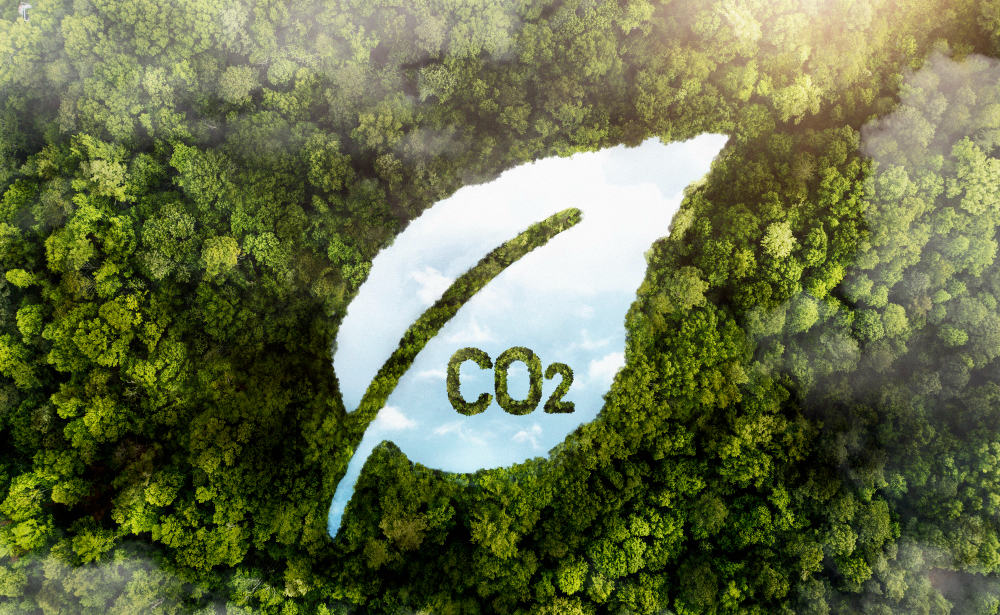 Nigeria’s plan to cut carbon emission to net-zero by 2060